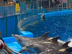 -多彩贵州城极地海洋世界