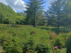 -长春公园(普阳街道)