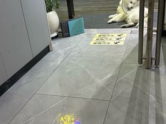 -中国体育彩票(竞彩店)