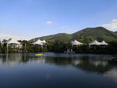 -帐篷客·溪龙茶谷度假酒店