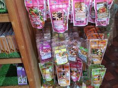 -宠物兔专门店(天丰利市场店)