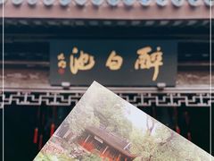 -上海醉白池公园