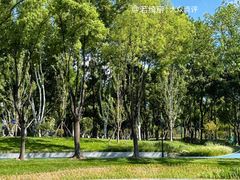 -后襄河公园