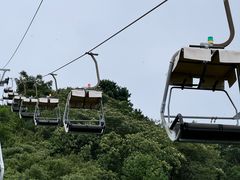 -富斯特索道