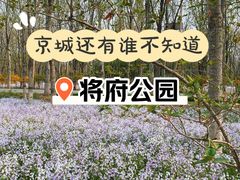 -将府公园