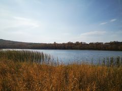 -塞罕坝国家级自然保护区