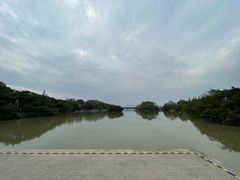 -江心屿景区