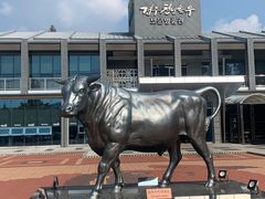 -庆州千年韩牛 普门名品馆(보문점)