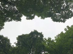 -南山植物园