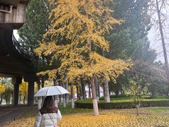 -THE NORTH FACE(三里屯ONEBOX店)