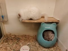 -龙猫仔乐园(惠福东路店)