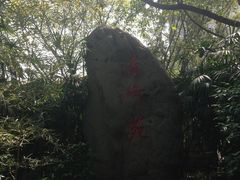 景点-望江楼公园