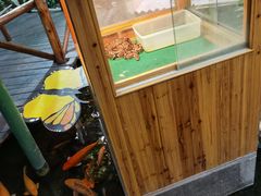 -上海大自然野生昆虫馆(东方明珠·爬宠昆虫探索中心)