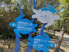 -广东惠东海龟国家级自然保护区