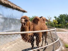 -武清南湖绿博园