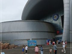 -烟台海昌鲸鲨海洋公园