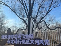 -绿堤公园