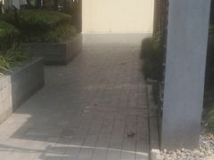 -思南书局(复兴中路店)