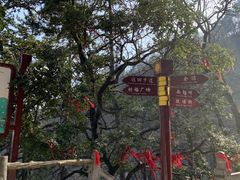 -塔云山
