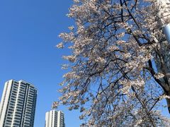 -成都市活水公园