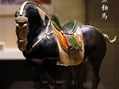 -洛阳博物馆