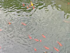 -北京市劳动人民文化宫(太庙)