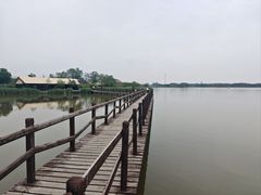 -西青郊野公园