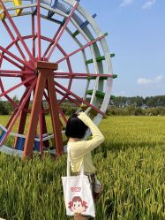 -时尚工厂·科学染发