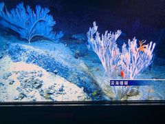 -同济大学四平路校区深海探索馆