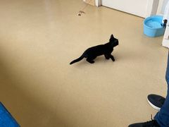 -芭比堂动物医院·犬猫全科·异宠专科(雁塔分院)