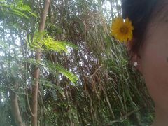 -三亚湾红树林度假世界(木棉酒店)