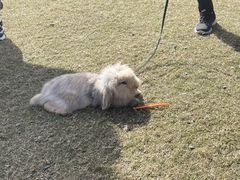 -前小桔亲子创意农场·草莓采摘·露营烧烤