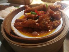 -南枝记