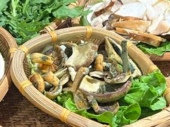 -滇野云南野生菌餐厅(陕西南路店)