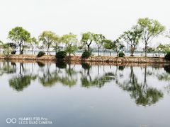 -无锡蠡湖国家湿地公园-蠡园