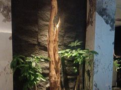 -观宴·品质赣菜(高新大道店)