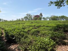 -凤凰沟景区
