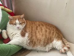 -小时光咖啡馆(北锣鼓巷店)