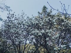 -广州市流溪河国家森林公园