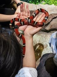 -酷嗒动物文化乐园(cutezoo西溪乐天城店)