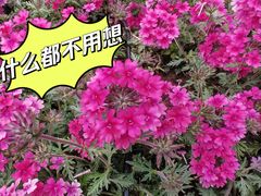 -平安里(地铁站)