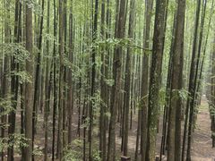 -山王坪喀斯特国家生态公园