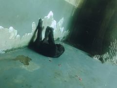 -无锡动物园·太湖欢乐园