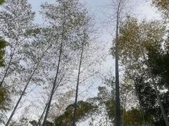 -苏州河梦清园环保主题公园