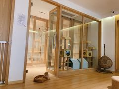 -猫腻·猫咖·撸猫馆(星光大道店)