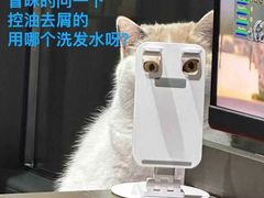 -正宗清远家鸡