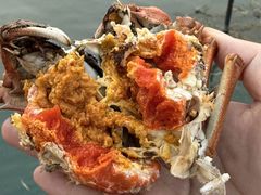 -品鲜村农家菜·阳澄湖大闸蟹(总店)