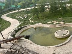 -青藏高原野生动物园