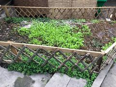 -花间酒庭院餐厅(谷山店)