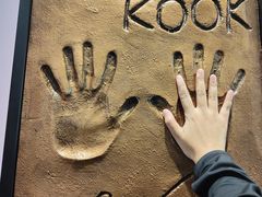 -line friends(明洞旗舰店)